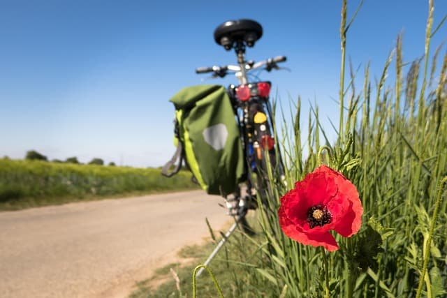 Die besten Outdoor-Apps für aktive Freizeitgestaltung